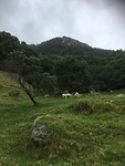 Mauao - Mount Maunganui