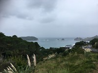 C8738509-F6C7-4171-BF06-9F9751A2E759