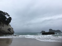 0C4CA827-51AB-4F3E-8373-03ED9D83D9C5