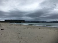 Cooks Beach