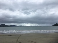 Cooks Beach