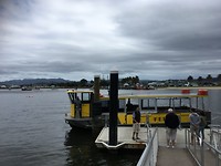 Ferry Landing naar Whitianga