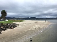 Kustlijn Whitianga