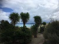 Mount Manaia