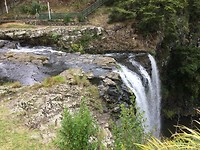 Whangarei Falls