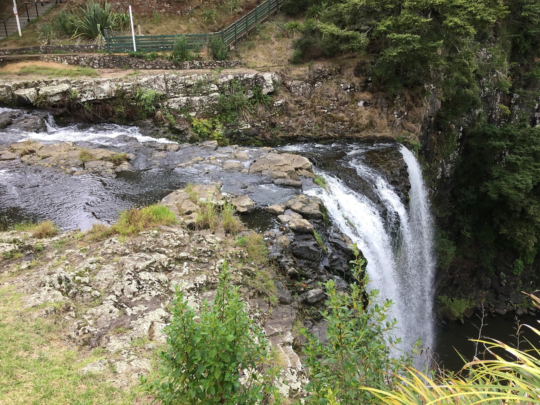 Whangarei Falls