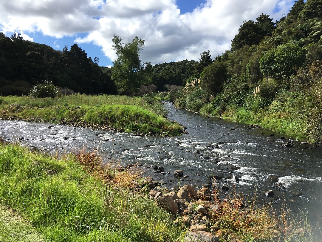 Rand van camping Kauri Top 10