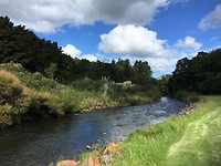 Rand van camping Kauri Top 10