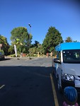 28780E28-5FC5-4828-A343-804B9337B9B8