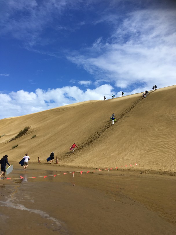 Sanddunes