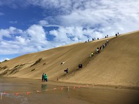 Te Paki Stream sanddunes