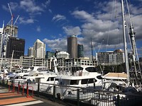 Viaduct Harbour