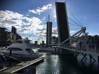 Brug Wynyard Crossing
