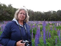 wijnanda tussen de lupines