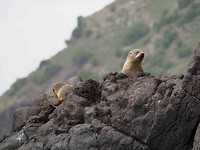 boottocht seal 1