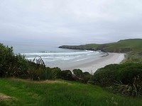 landingsstrand pinguins