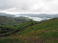 scenic route met uitzicht op het fjord waar we voeren