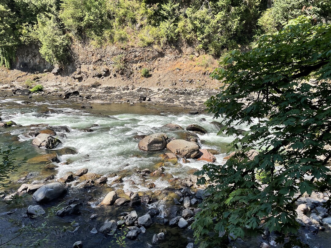 Rivier