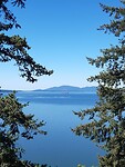 Chuckanut