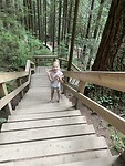Trappen