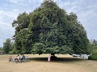 IMG_0494