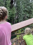 IMG_0645