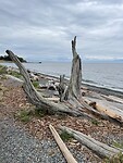 IMG_0587