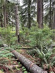 IMG_0723