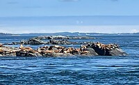 IMG-20230810-WA0009