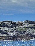 IMG-20230810-WA0010