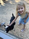 IMG_0826