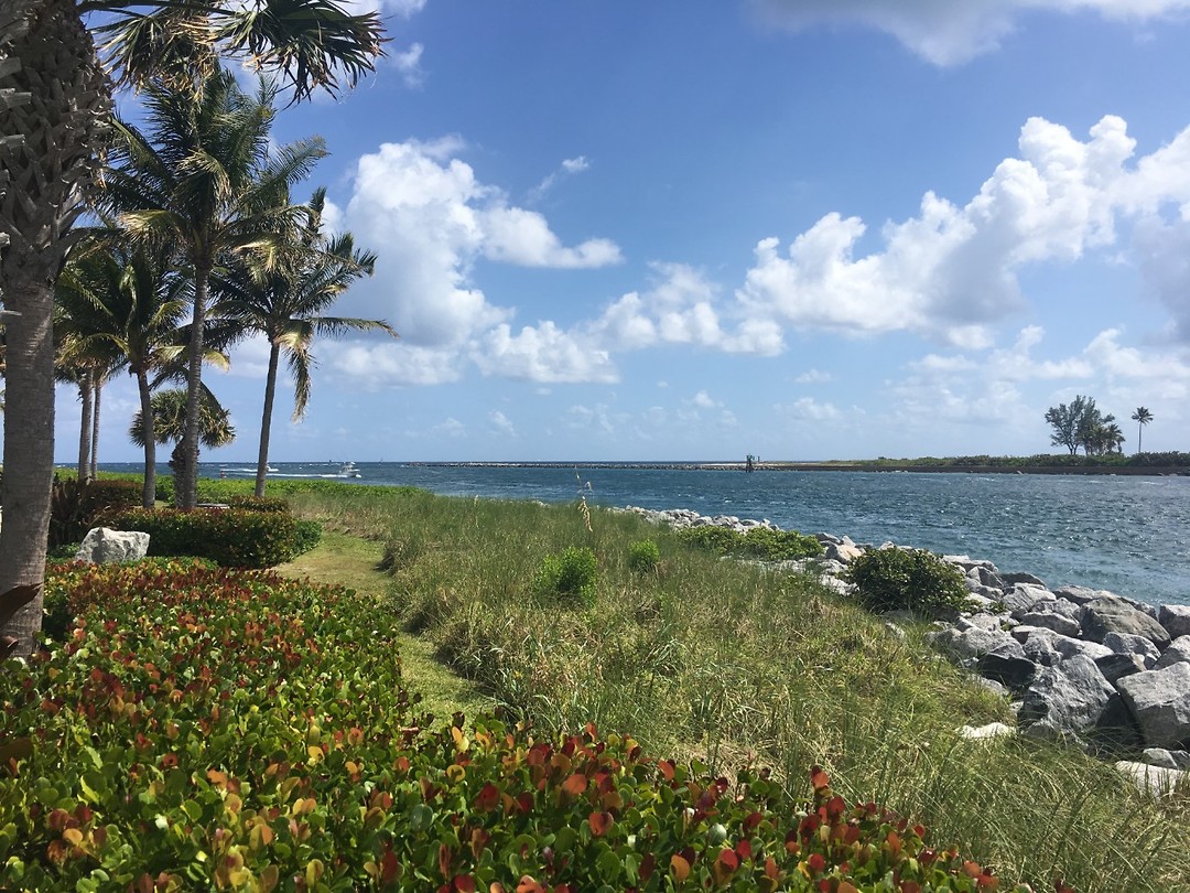 Palm Beach