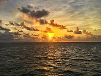 Dag 3 - Key West Sunset Sailing Tour (5)