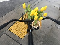 Tulpen in mijn mandje