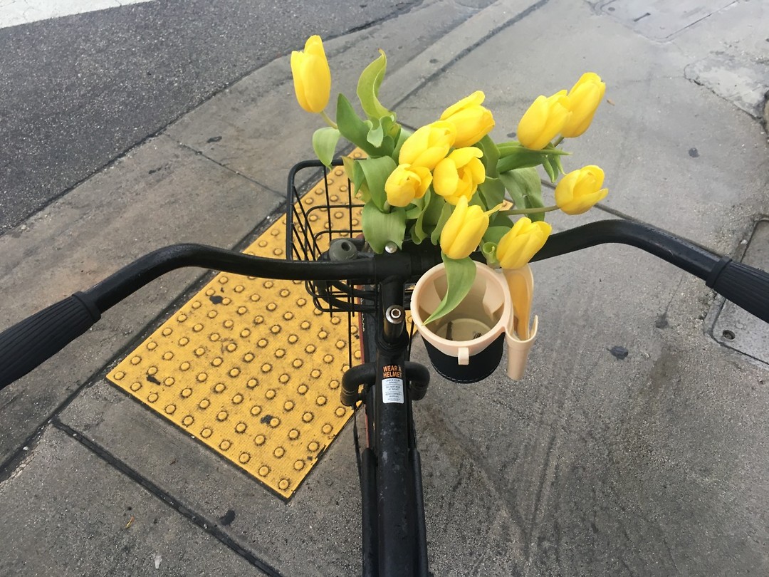 Tulpen in mijn mandje