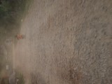 Vang Vieng