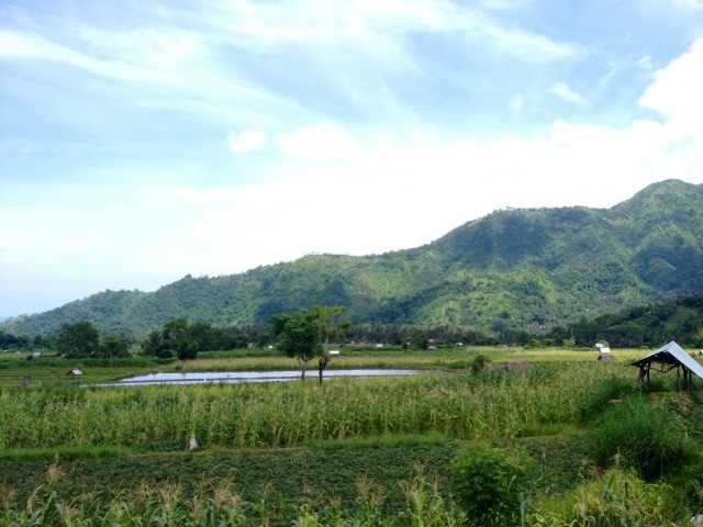 Bali