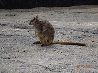 LRG_DSC08053