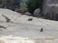 LRG_DSC08061