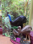 LRG_DSC08216