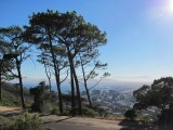 Cape Town (near Lion's Head/ Leeuwekop)