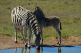 moeder en kind bij waterplas