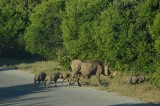 familie de weg over