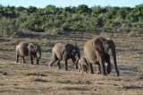familie aan de wandel