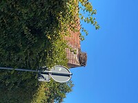 4E08189C-FF7B-4C99-8D93-A12631BBB619