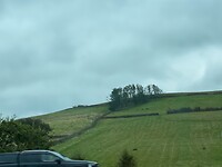 7D0A5946-B534-4D91-8E24-DB0D480486B8