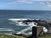 IMG_2152
