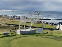 IMG_2228