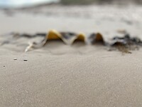 IMG_2267