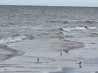 IMG_2286